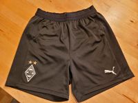 Puma Sporthose, Borussia Mönchengladbach, Gr. 152 Rheinland-Pfalz - Pfaffen-Schwabenheim Vorschau