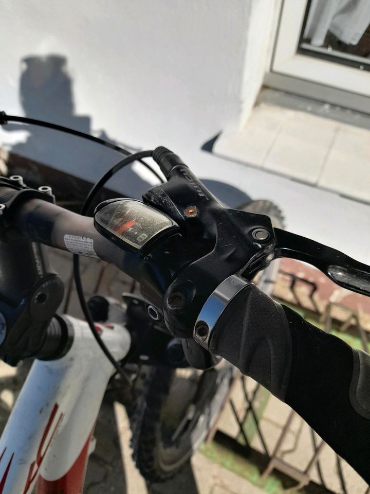 Fahrad SPECIALIZED in Brandenburg Fürstenwalde (Spree) eBay