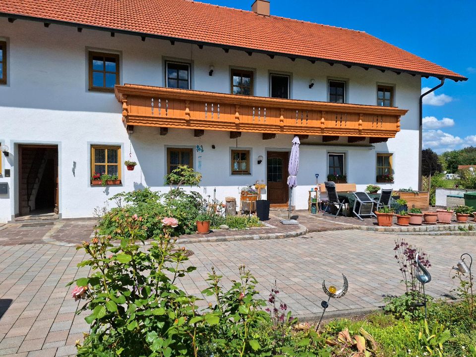 Schöne, helle Mietwohnung in ländlicher Gegend - 3,5 Zimmer in Sankt Wolfgang