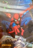 Poster Spider-Man 3d Effekt Niedersachsen - Northeim Vorschau