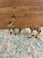 Schleich Giraffen 98er Niedersachsen - Jork Vorschau