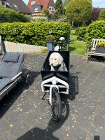 Lastenrad Larry vs. Harry Bullit „Milk Plus“ mit Korb für  Hund Kiel - Kronshagen Vorschau