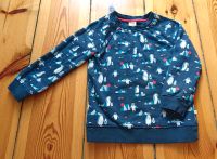 Pullover, warm angetaut, Größe 116/122, Frugi, Pinguine Berlin - Steglitz Vorschau