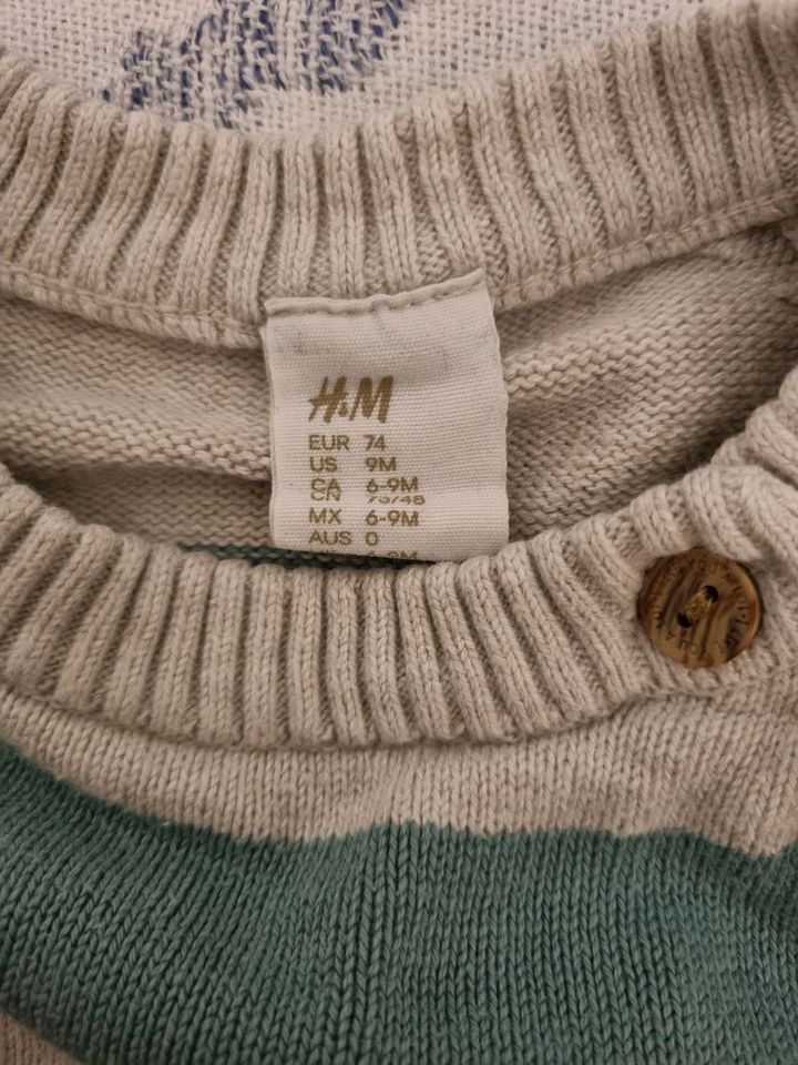 Baby Pullover Gr. 74 H&M in Wilhelmshaven