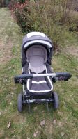 Kinderwagen Hartan Topline S Sportbuggy Niedersachsen - Bruchhausen-Vilsen Vorschau