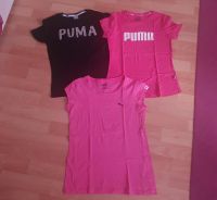 3 Puma t Shirts gr.152 Bochum - Bochum-Süd Vorschau