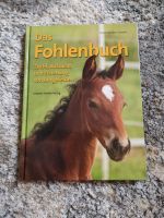 Das Fohlenbuch Nordrhein-Westfalen - Warburg Vorschau