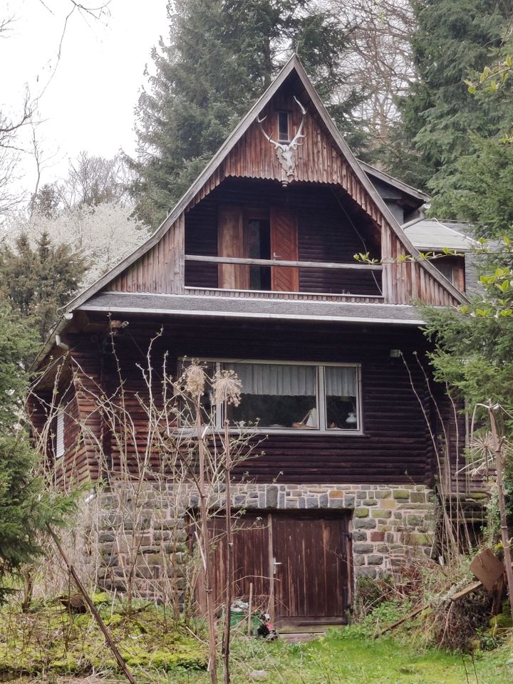 Großes naturbelassenes Grundstück in Sonneberg-Hüttensteinach in Sonneberg