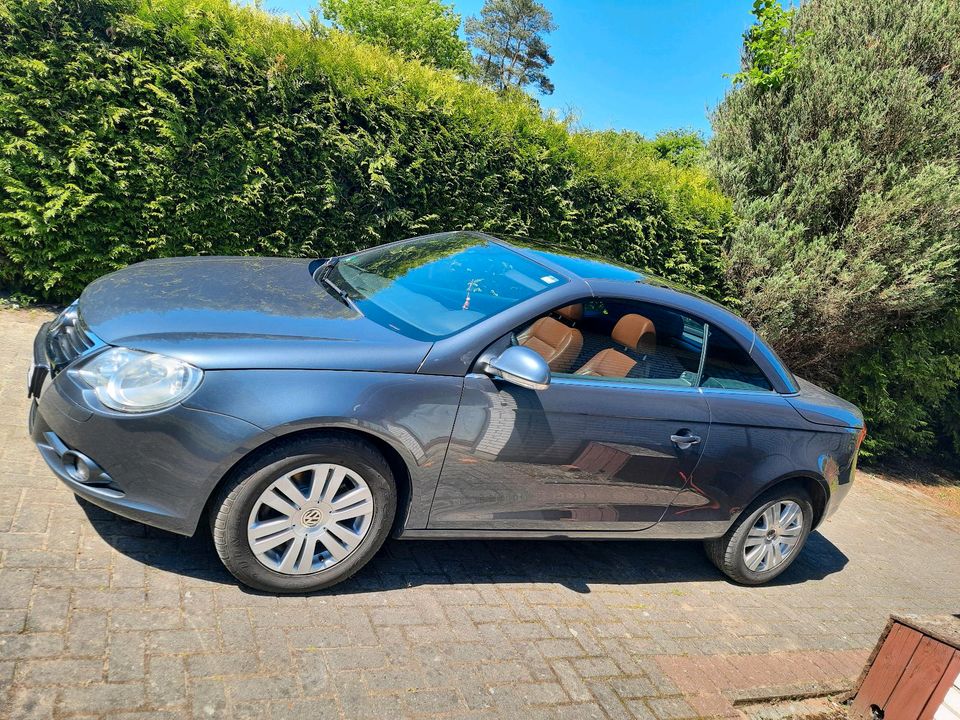 VW Eos 2,0 TDI in Soderstorf