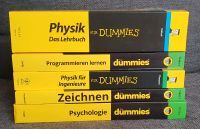 Dummie Bücher / Physik / Kunst / Psychologie / Programmieren Hessen - Riedstadt Vorschau