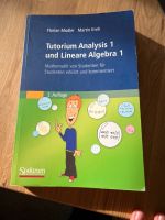 Tutorium Analysis 1 und Lineare Algebra 1, Mathe Studium Hessen - Selters Vorschau