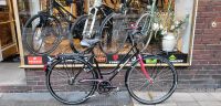 Gudereit Trekking City Fahrrad neuwertig mit Garantie Innenstadt - Köln Altstadt Vorschau