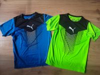 Puma Sport Shirts Gr.152 Hessen - Solms Vorschau