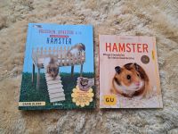 Hamster Bücher selbstgebasteltes für Hamster Hessen - Bad Vilbel Vorschau