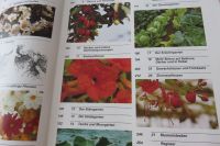 Buch der Garten mein Leben. Sehr schönes Gartenbuch Bayern - Johanniskirchen Vorschau