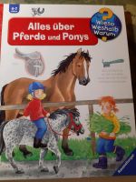 Wieso, Weshalb, Warum: Alles über Pferde und Ponys Nordrhein-Westfalen - Zülpich Vorschau