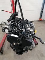 Motor Komplett VW SHARAN CUV CUVA 2.0 TDI 66.000km 184 PS Brandenburg - Küstriner Vorland Vorschau