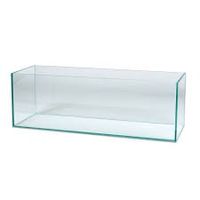 Suche Flaches Aquarium/ Terrarium Glasbecken Bayern - Ingolstadt Vorschau