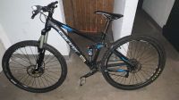 Carver Transalpin 901 Fully mountain Bike 2016 Harburg - Hamburg Neugraben Vorschau