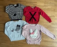 H&M Pulli Pullover Strickpulli Pailletten Vogel Hase 110 116 Next Feldmoching-Hasenbergl - Feldmoching Vorschau