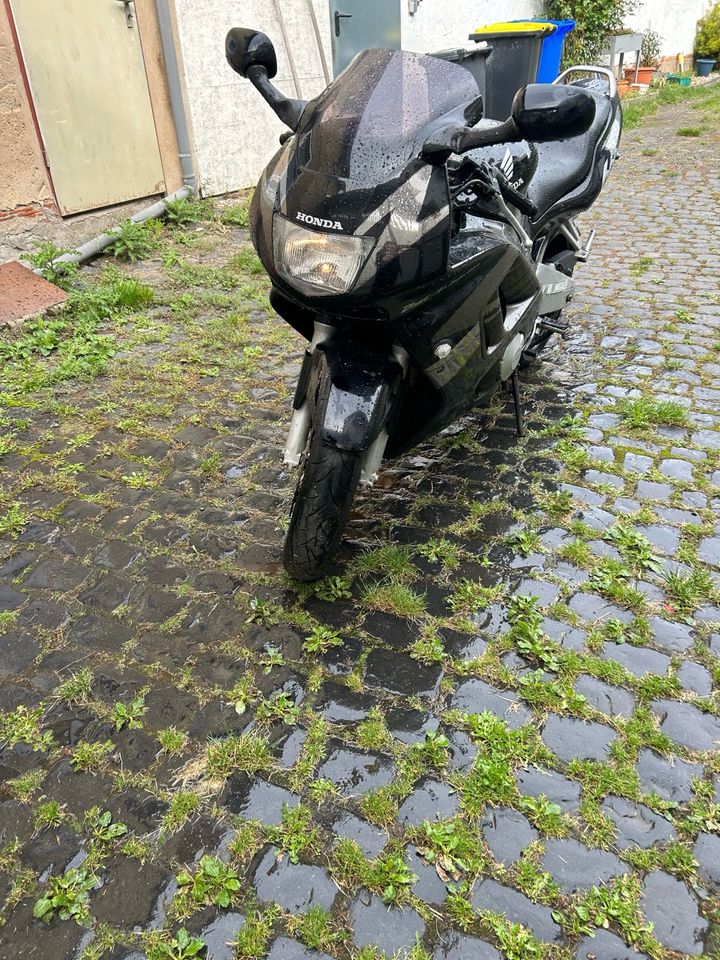 Honda CBR600 in Wölfersheim