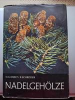 DDR Sachbuch "Nadelgehölze" Sachsen - Ohorn Vorschau