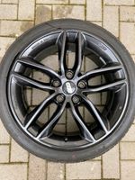 BBS SX schwarz 18 Zoll Sommerräder/Nexxen Rheinland-Pfalz - Frankenthal (Pfalz) Vorschau