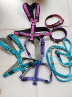 Anny-x annyx Fun Gr. S Geschirr Hundegeschirr Leine Halsband Sets Nordrhein-Westfalen - Kall Vorschau