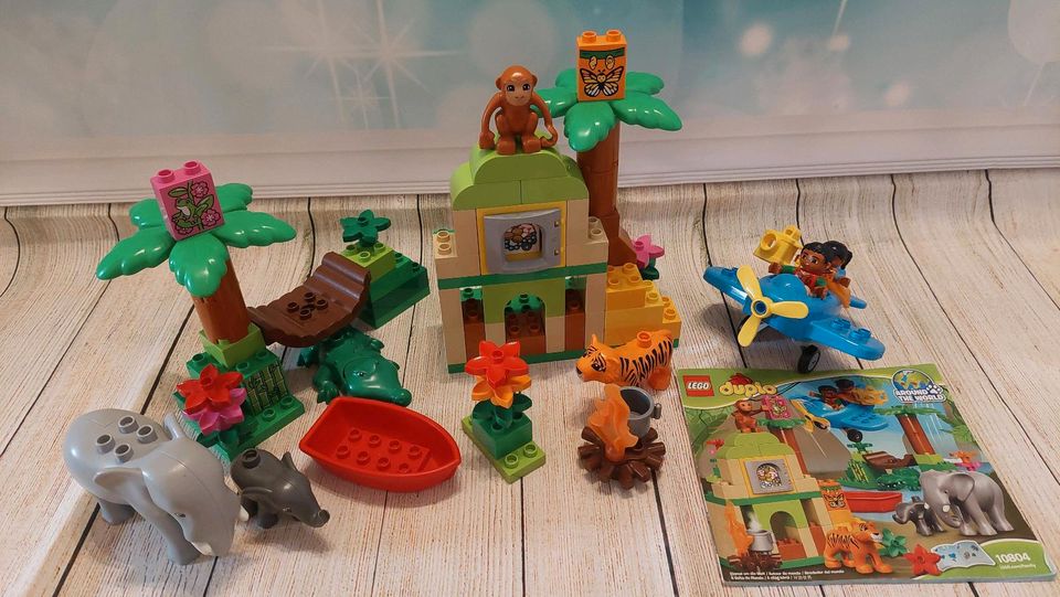 LEGO DUPLO 10804 - Dschungel Tiere Safari Flugzeug in Renchen