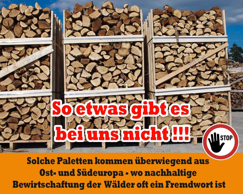 ab 4 m³ bis 35 m³ -  bis 40 Km um Halle Merseburg Petersberg Wettin Kaminholz, Brennholz, Feuerholz, Holzvergaser, Kamin, Holz, Feuer, Brenn in Halle