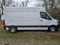 Mercedes-Benz Sprinter 311 CDI Jahreswagen Tageszulassung L2H2 Niedersachsen - Steinfeld Vorschau