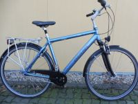 Trekkingrad GIANT TOURER CS 2    28"/RH 54  7 Gang Brandenburg - Elsterwerda Vorschau