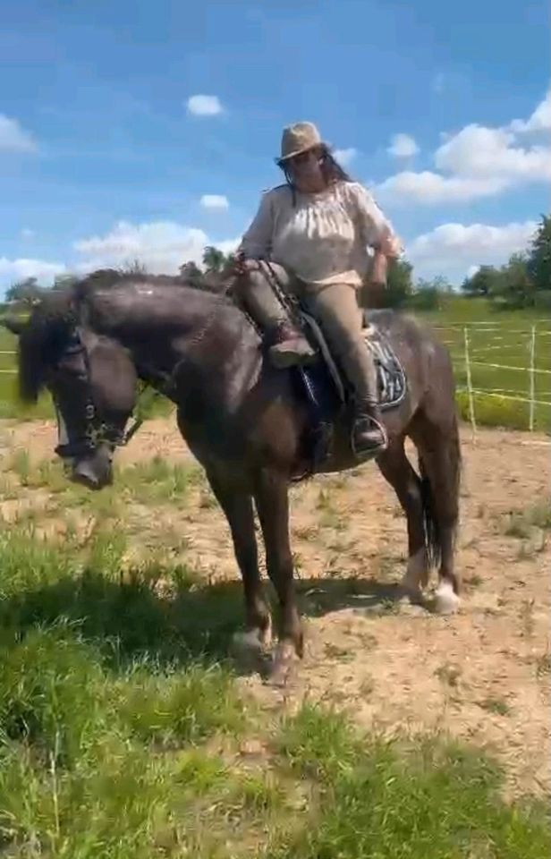 Super Freizeitpferd cob mix Wallach in Villmar