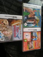 Nintendo DS spiele Schleswig-Holstein - Todendorf Vorschau