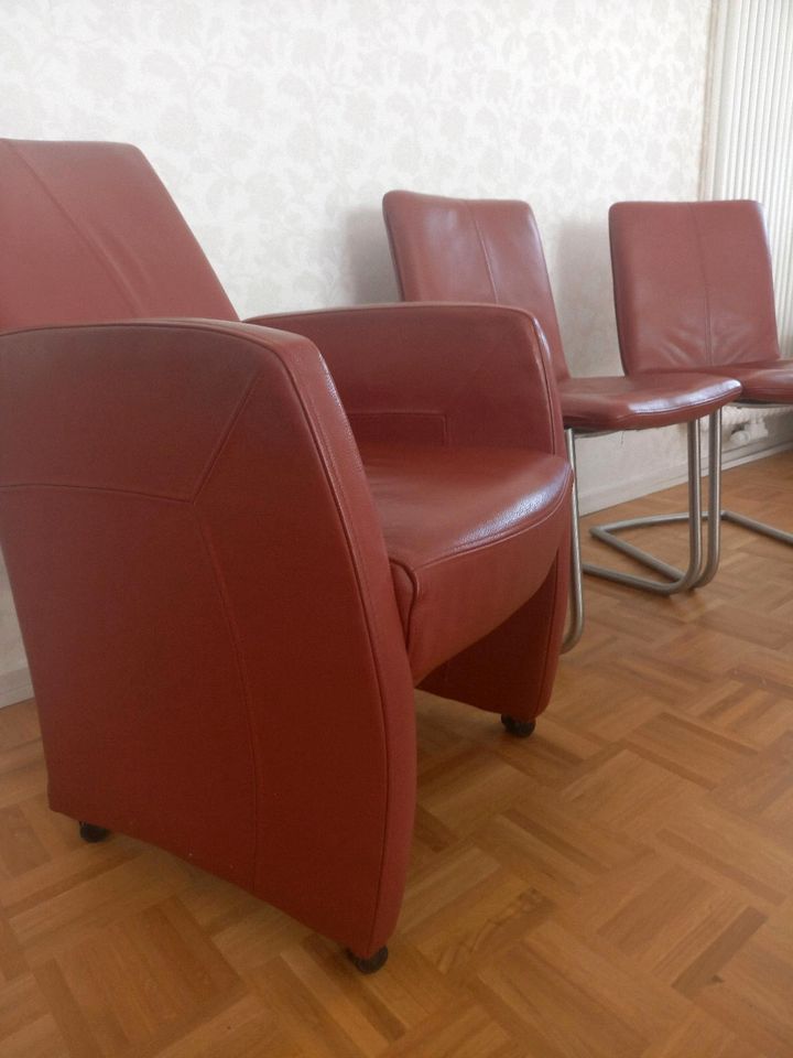 Leder Freischwinger und Armsessel - Lehnsessel rot Stühle, Sessel in Bingen