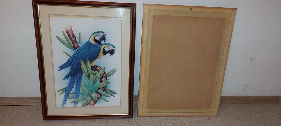 2 sehr schöne Bilder, Papageien, rote und blaue Ara's, gerahmt in Bocholt