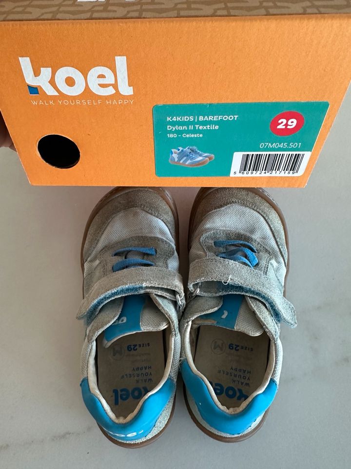 Koel barfußschuhe Gr 29 blau sneaker Klett Verschluss in Cottbus