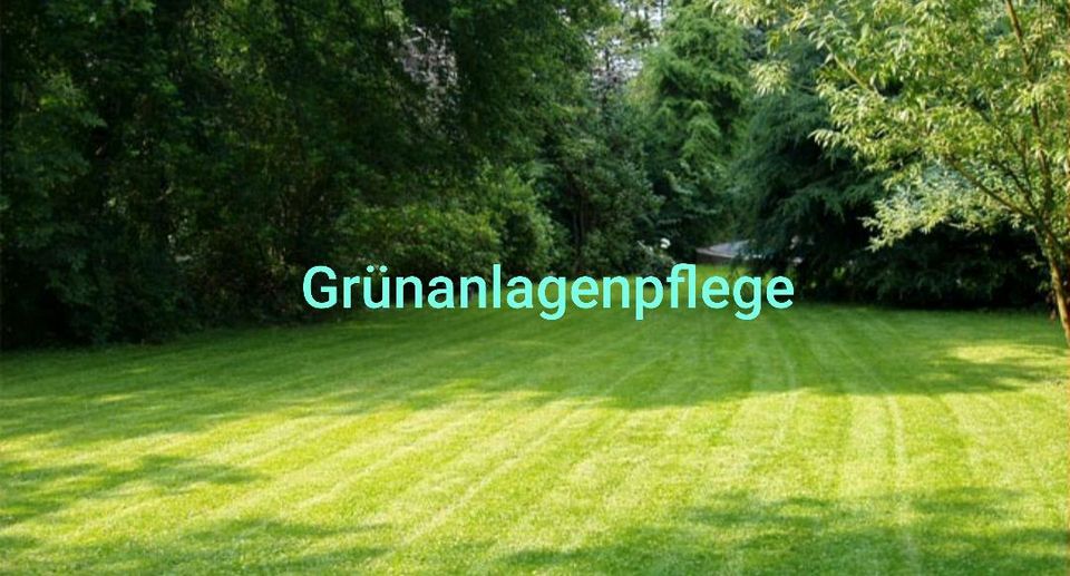 ‼️Grünanlagenpflege ‼️ in Rheinsberg