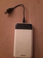 Powerbank Handy/Laptop Brandenburg - Forst (Lausitz) Vorschau