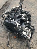 Motor 2.0 TDI AUDI A4 A5 A6 Q5 CJC CJCA CJCB 143PS Sachsen - Mildenau Vorschau