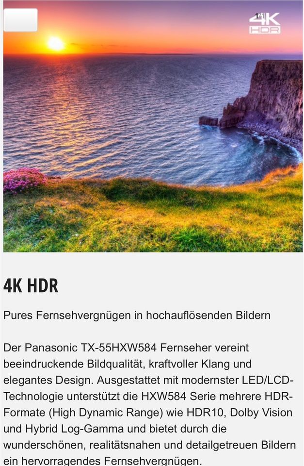 55 Zoll Panasonic 4K Ultra HD Smart LED Fernseher in Regensburg