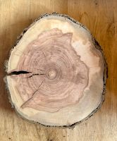 Apfelbaum Scheiben Holzscheiben Baumscheiben Bayern - Ehingen Mittelfr Vorschau