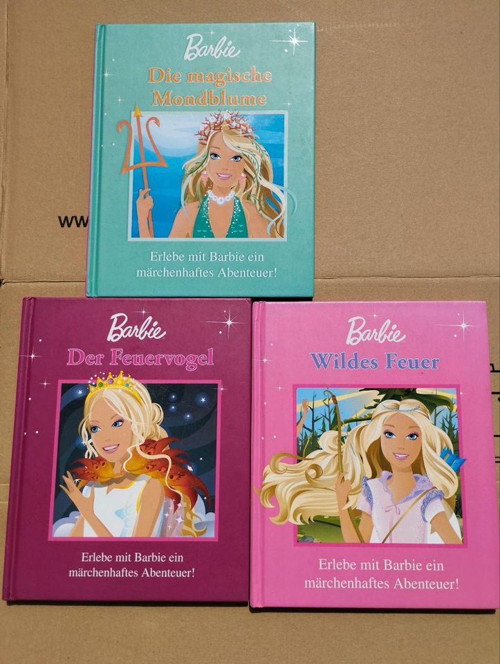 Barbie Bücher Set in Rudolstadt