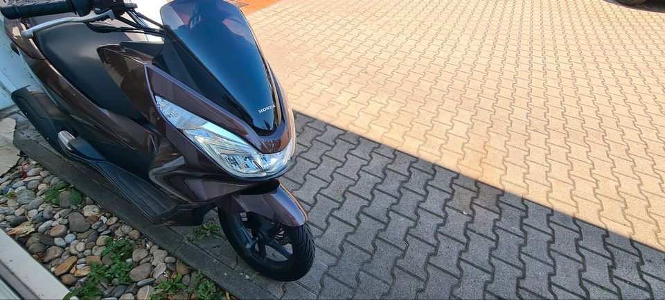 Honda PCX 125 TÜV bis 09/2025 in Heppenheim (Bergstraße)