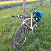 Mountainbike Sportivo kein Canondale Alu Rahmen Baden-Württemberg - Nagold Vorschau