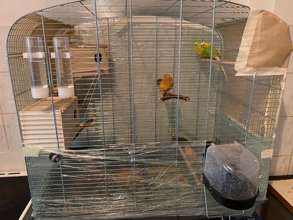 Vögel mit Käfig in Kiel