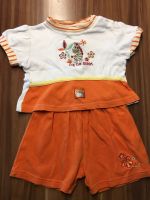 T Shirt Shorts Set Zebra 68 orange Sachsen-Anhalt - Dessau-Roßlau Vorschau