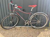 Winona Alan Citybike mit automatischer Gangschaltung Neuhausen-Nymphenburg - Neuhausen Vorschau