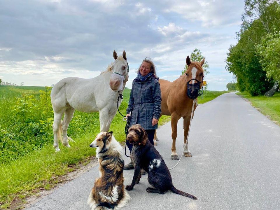 Pferdeurlaub Fair Horsemanship Retreat Ostsee Erwachsene in Saatel