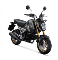 Honda MSX 125 mit ABS Leasing NUR 91€ IM MONAT Bayern - Marktoberdorf Vorschau